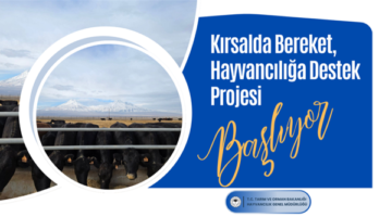 Kırsalda Bereket, Hayvancılığa Destek Projesi