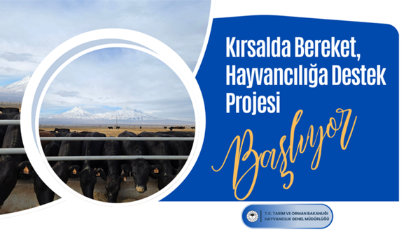 Kırsalda Bereket, Hayvancılığa Destek Projesi