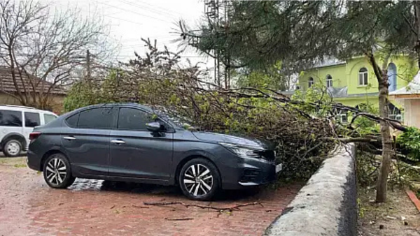 Fırtına Etkili Oldu: Ağaç, Araçların Üzerine Devrildi