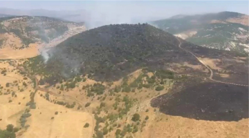 Elazığ’daki Orman Yangını Söndürüldü