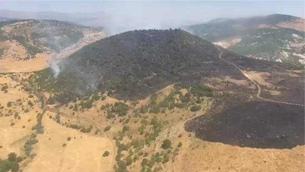 Elazığ’daki Orman Yangını Söndürüldü