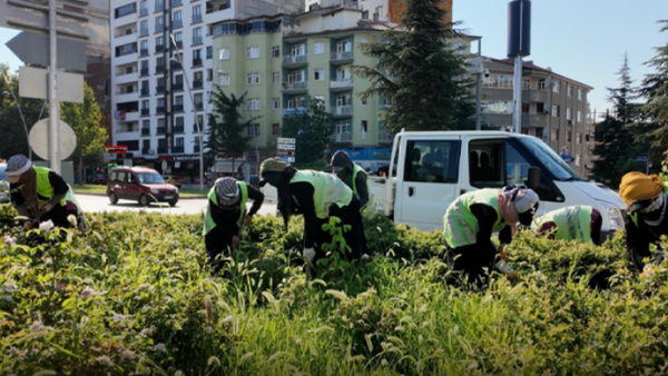 Elazığ Belediyesi, Kent Genelinde Çalışmalarını Sürdürüyor